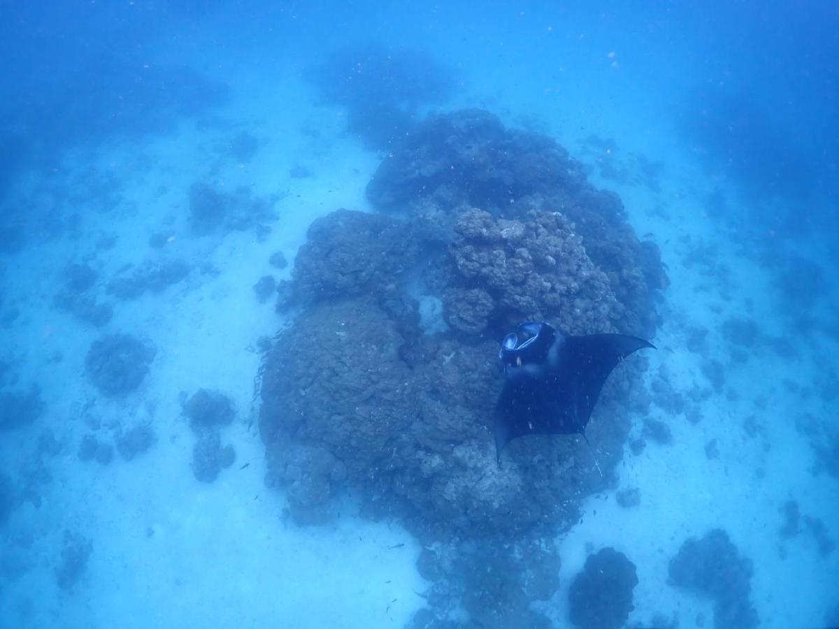 Rasdu View Inn Rasdhoo Luaran gambar
